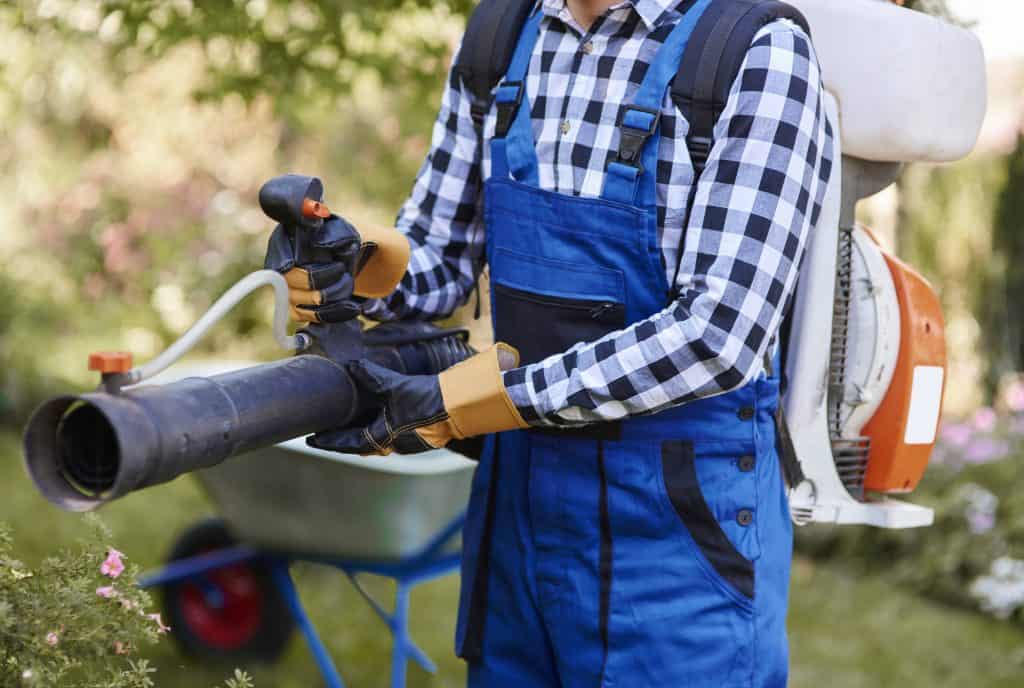 10 Best Leaf Blower Vacuums Reviews 2020 Buying Guide